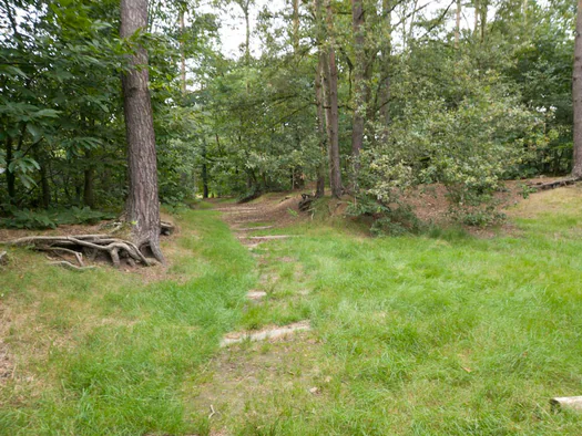 De Hoge Rielen, Kasterlee (Belgium)